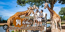 Safari kanchanaburi