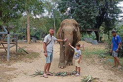 You can take photos with elephants at Sai Yok Elephant Camp.